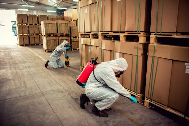 Best Insect Control  in Point Roberts, WA