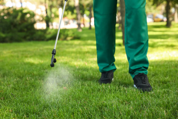 Best Bed Bug Extermination  in Point Roberts, WA