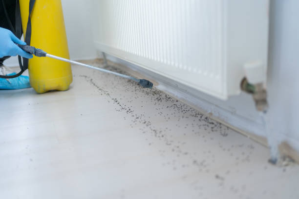Best Commercial Pest Control Services  in Point Roberts, WA