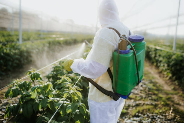  Point Roberts, WA Pest Control Pros